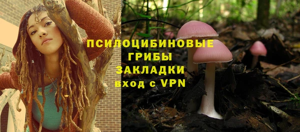 СК Алексеевка