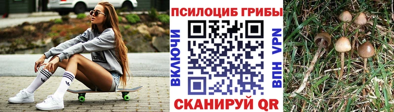 Псилоцибиновые грибы Magic Shrooms купить наркотик Анжеро-Судженск
